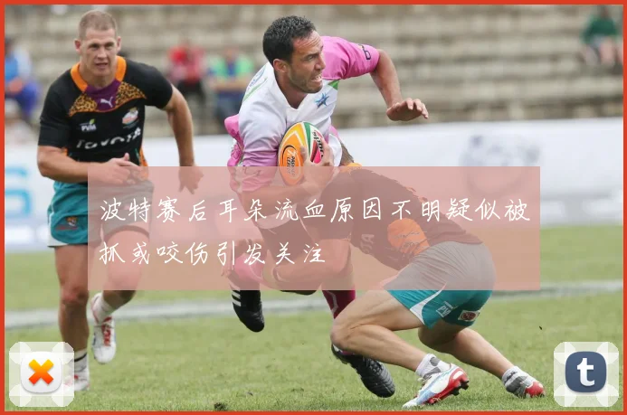 波特赛后耳朵流血原因不明疑似被抓或咬伤引发关注